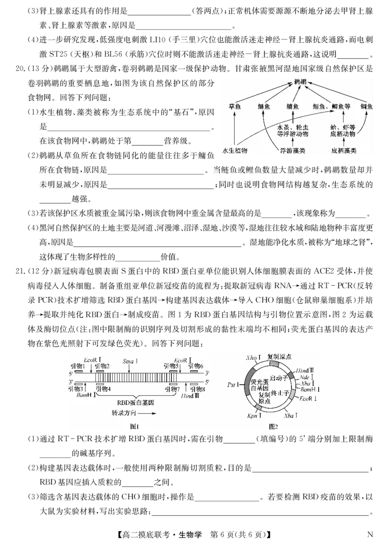 江西省多校联考2023-2024学年高二下学期6月摸底考试生物试题_6月_240615九师联盟2023-2024学年高二下学期6月摸底联考_九师联盟2023-2024学年高二下学期6月摸底考试生物试题