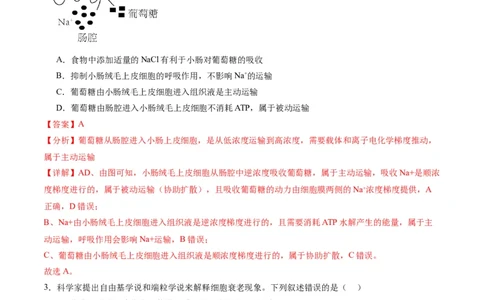 黄金卷（解析版）-赢在高考&middot;黄金8卷备战2024年高考生物模拟卷（甘肃专用）_2024高考押题卷_92024赢在高考全系列_（通用版）2024《赢在高考&middot;黄金预测卷》（九科全）各八套