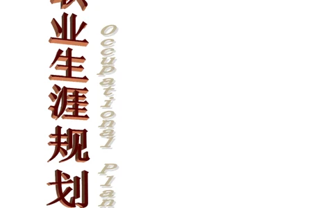 旅游管理专业职业生涯规划书(1)_E6-职业规划_49旅游管理专业