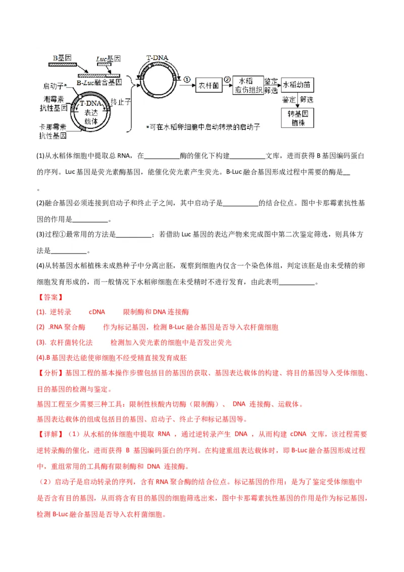 黄金卷03（解析版）-赢在高考&middot;黄金8卷备战2024年高考生物模拟卷（全国卷专用）_2024高考押题卷_92024赢在高考全系列_赢在高考&middot;黄金8卷备战2024年高考生物模拟卷