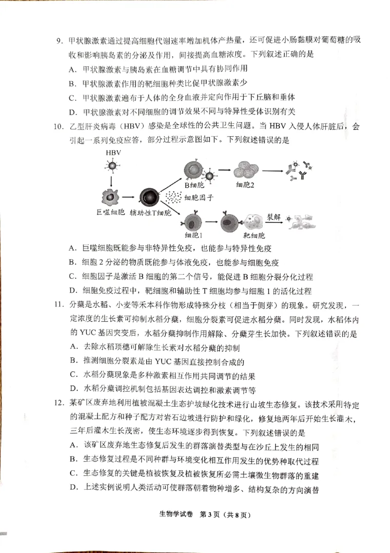 生物_8月_240816贵州贵阳市2025届高三上学期摸底考试（8月）_贵州贵阳市2025届高三上学期摸底考试（8月）生物学试题+答案