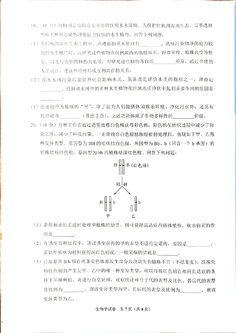 生物_8月_240816贵州贵阳市2025届高三上学期摸底考试（8月）_贵州贵阳市2025届高三上学期摸底考试（8月）生物学试题+答案