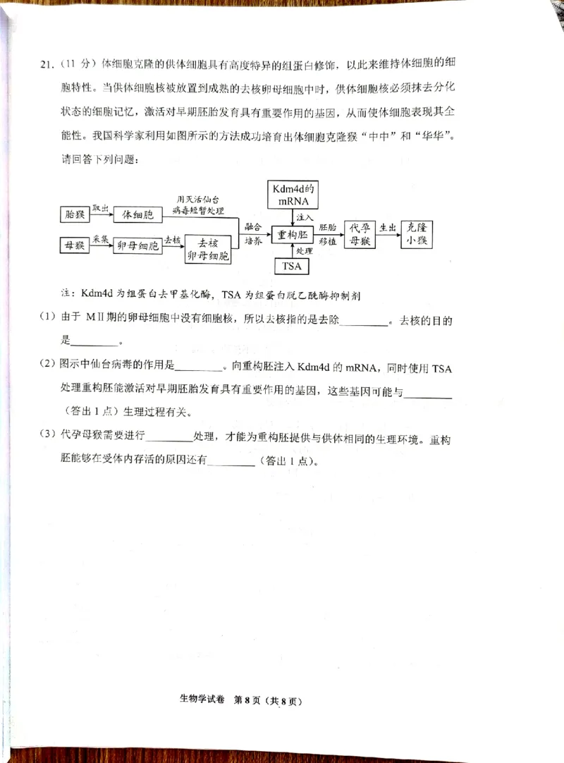 生物_8月_240816贵州贵阳市2025届高三上学期摸底考试（8月）_贵州贵阳市2025届高三上学期摸底考试（8月）生物学试题+答案