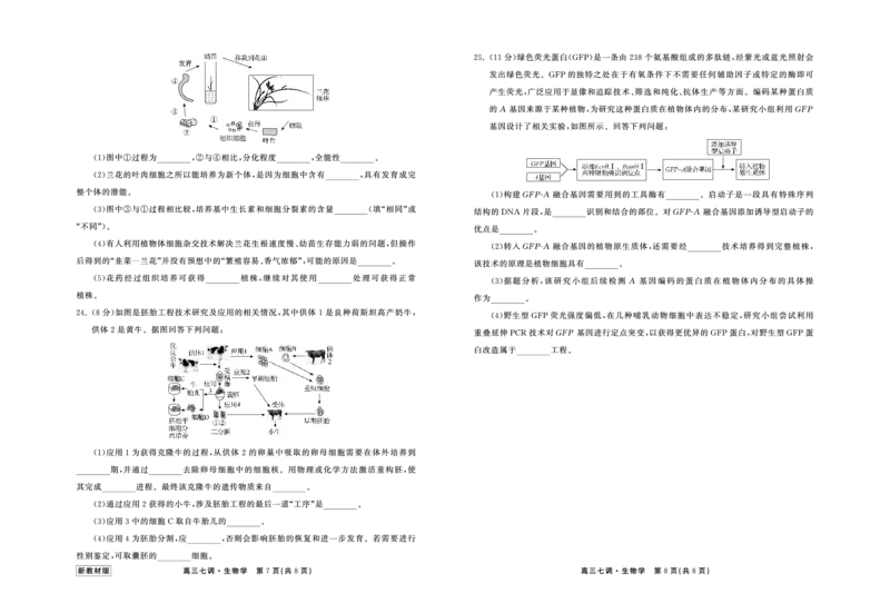 23-24生物上学期高三七调新教材版正文_2024年2月_01每日更新_04号_2024届衡中同卷高三上学期七调考试_衡中同卷2024届高三上学期七调考试生物