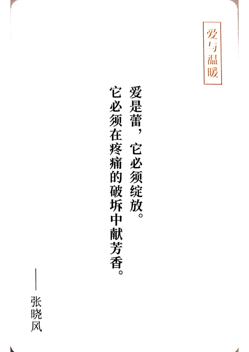 万用手卡_2024年5月_01按日期_2号_2024高考语文写作专题（素材大全+写作技巧+满分作文+真题）_17.纸条作文手卡_手卡图片版