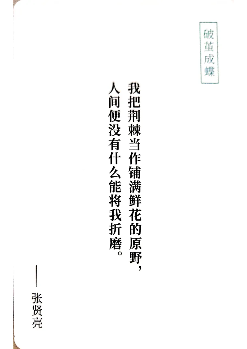 万用手卡_2024年5月_01按日期_2号_2024高考语文写作专题（素材大全+写作技巧+满分作文+真题）_17.纸条作文手卡_手卡图片版