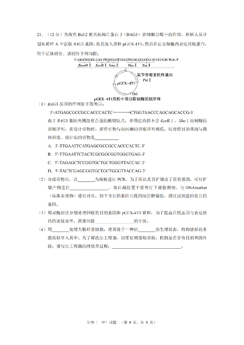 2024届湖南省长沙市第一中高三下学期高考适应性演练(一）生物_2024年3月_013月合集_2024届湖南省长沙市第一中高三下学期高考适应性演练（一）