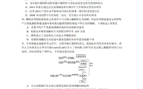 2024届湖南省长沙市第一中高三下学期高考适应性演练(一）生物_2024年3月_013月合集_2024届湖南省长沙市第一中高三下学期高考适应性演练（一）