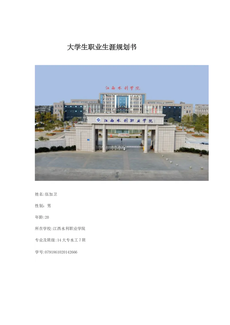 水利工程大学生职业生涯规划_E6-职业规划_100水利专业