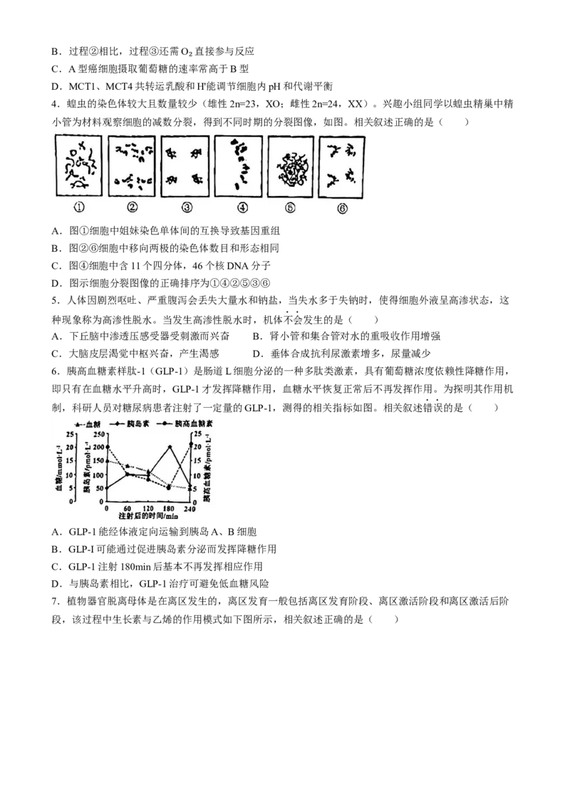 2024届海南省海口市高三下学期一模生物试题(无答案)(1)_2024年4月_024月合集_2024届海南省海口市高三下学期一模（4月调研）