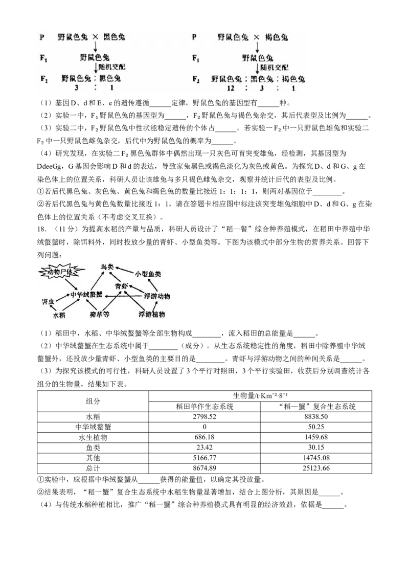 2024届海南省海口市高三下学期一模生物试题(无答案)(1)_2024年4月_024月合集_2024届海南省海口市高三下学期一模（4月调研）