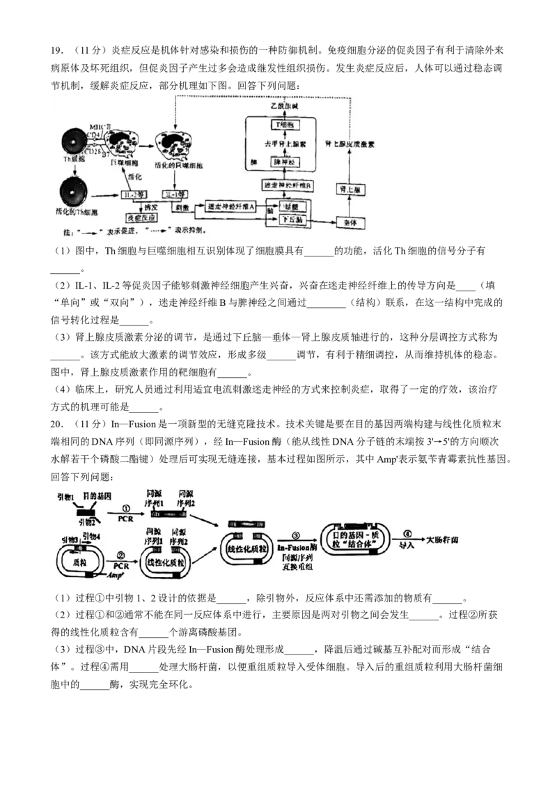 2024届海南省海口市高三下学期一模生物试题(无答案)(1)_2024年4月_024月合集_2024届海南省海口市高三下学期一模（4月调研）