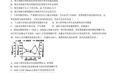 2024届海南省海口市高三下学期一模生物试题(无答案)(1)_2024年4月_024月合集_2024届海南省海口市高三下学期一模（4月调研）