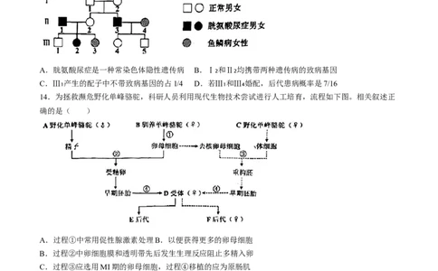 2024届海南省海口市高三下学期一模生物试题(无答案)(1)_2024年4月_024月合集_2024届海南省海口市高三下学期一模（4月调研）