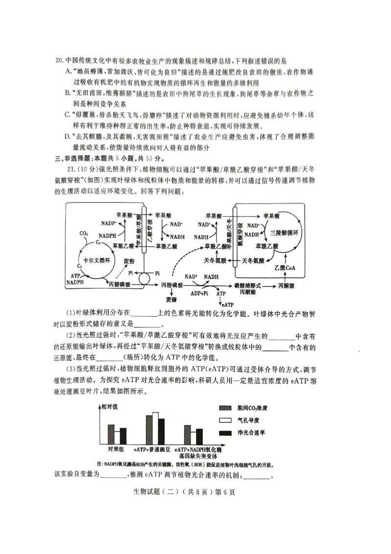 24聊城二模生物试题_2024年4月_01按日期_20号_2024届山东省聊城市高三下学期二模_24聊城二模生物