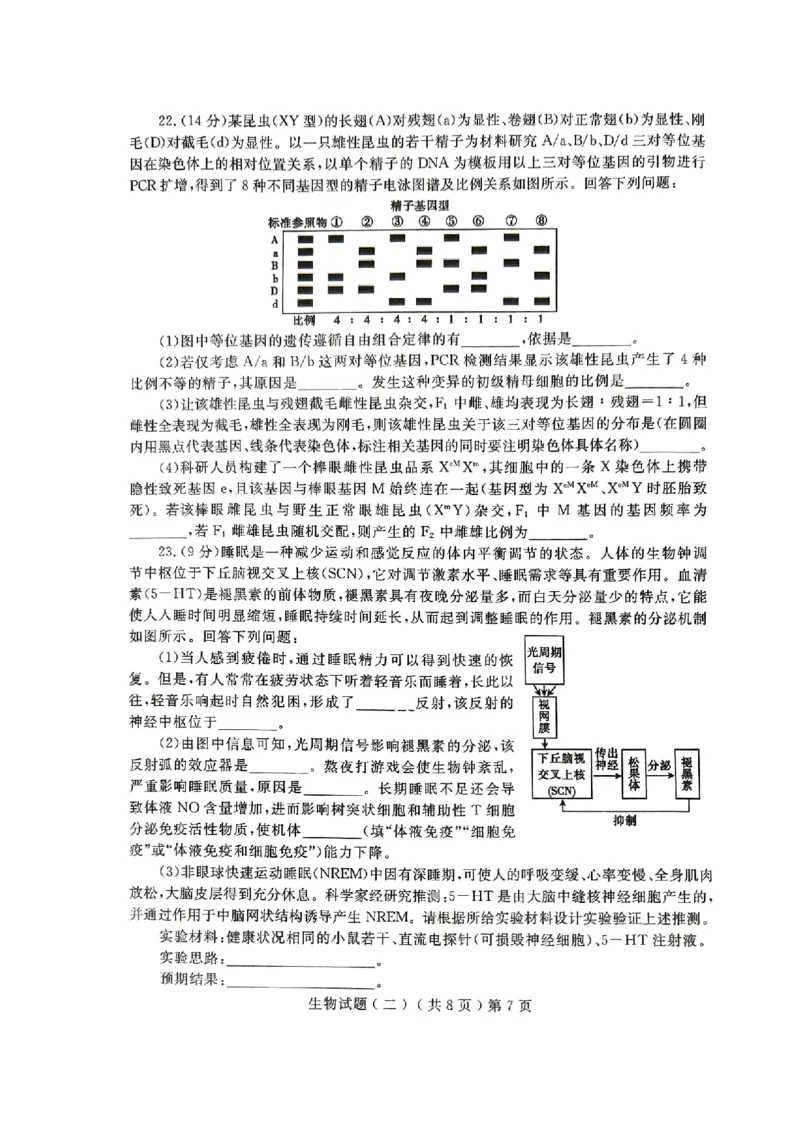 24聊城二模生物试题_2024年4月_01按日期_20号_2024届山东省聊城市高三下学期二模_24聊城二模生物