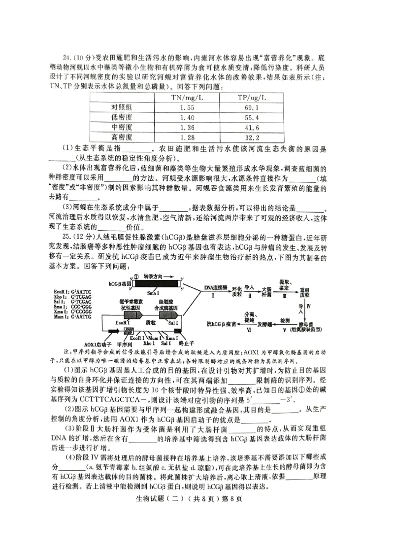 24聊城二模生物试题_2024年4月_01按日期_20号_2024届山东省聊城市高三下学期二模_24聊城二模生物