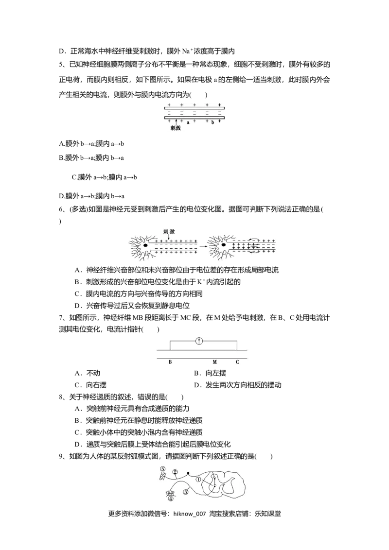 2.3神经冲动的产生和传导（练习）（原卷版）_E015高中全科试卷_生物试题_选修1_2.同步练习_2.同步练习（第二套）