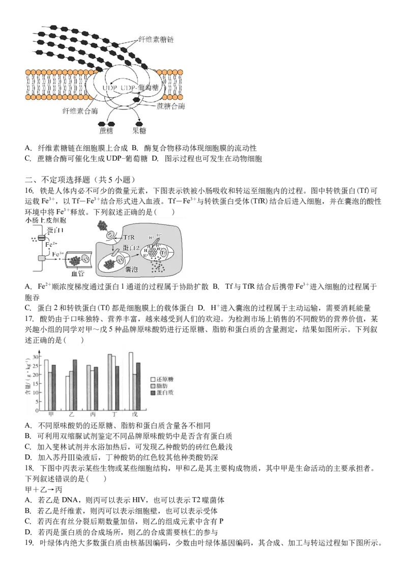 吉林省白城市洮北区白城市第一中学2024-2025学年高三上学期开学考试生物试题（含解析）(1)_8月_240825吉林省白城市白城市第一中学2025届高三上学期开学考试