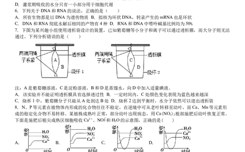 吉林省白城市洮北区白城市第一中学2024-2025学年高三上学期开学考试生物试题（含解析）(1)_8月_240825吉林省白城市白城市第一中学2025届高三上学期开学考试