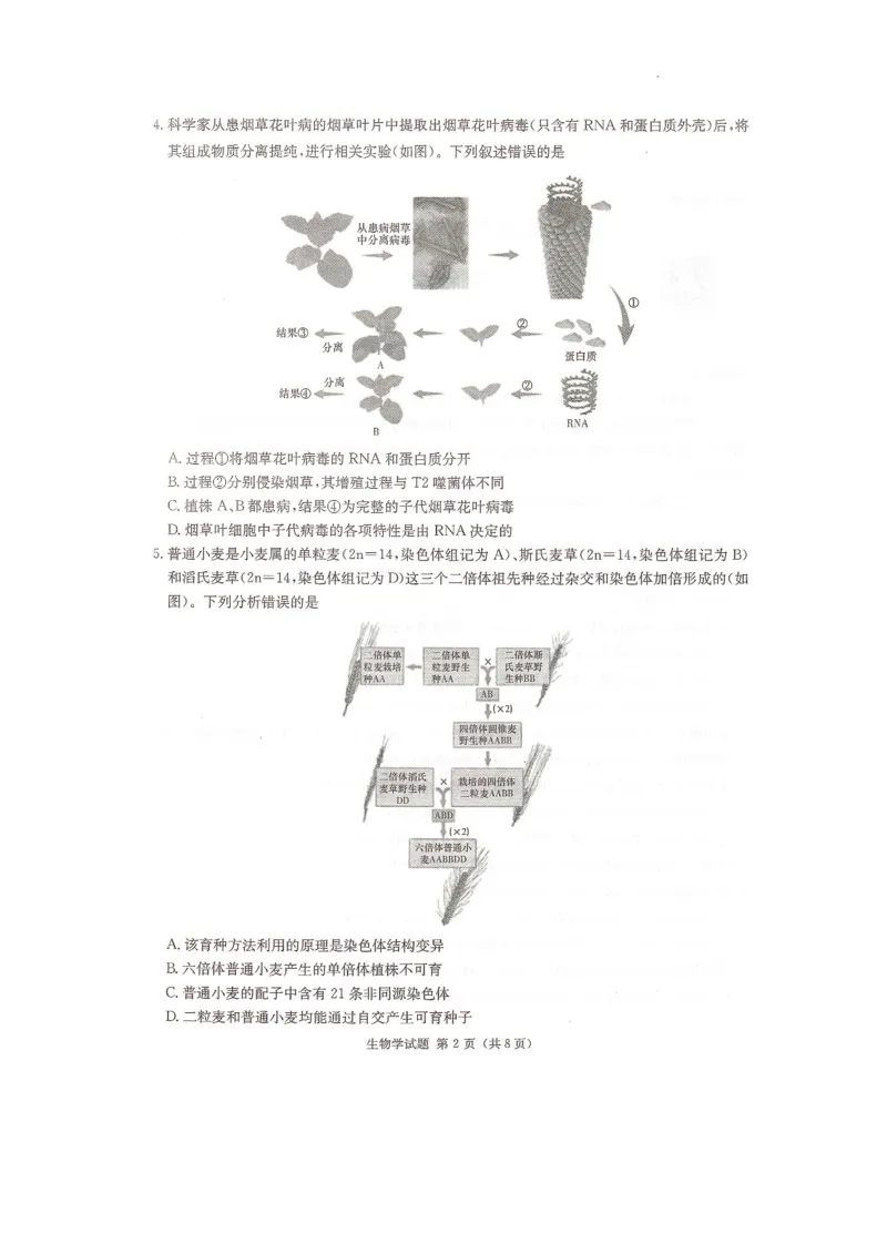 2024届湖南省衡阳市名校联考联合体模拟预测生物试题_2024年4月_01按日期_24号_2024届湖南名校联考联合体高三考前仿真联考一