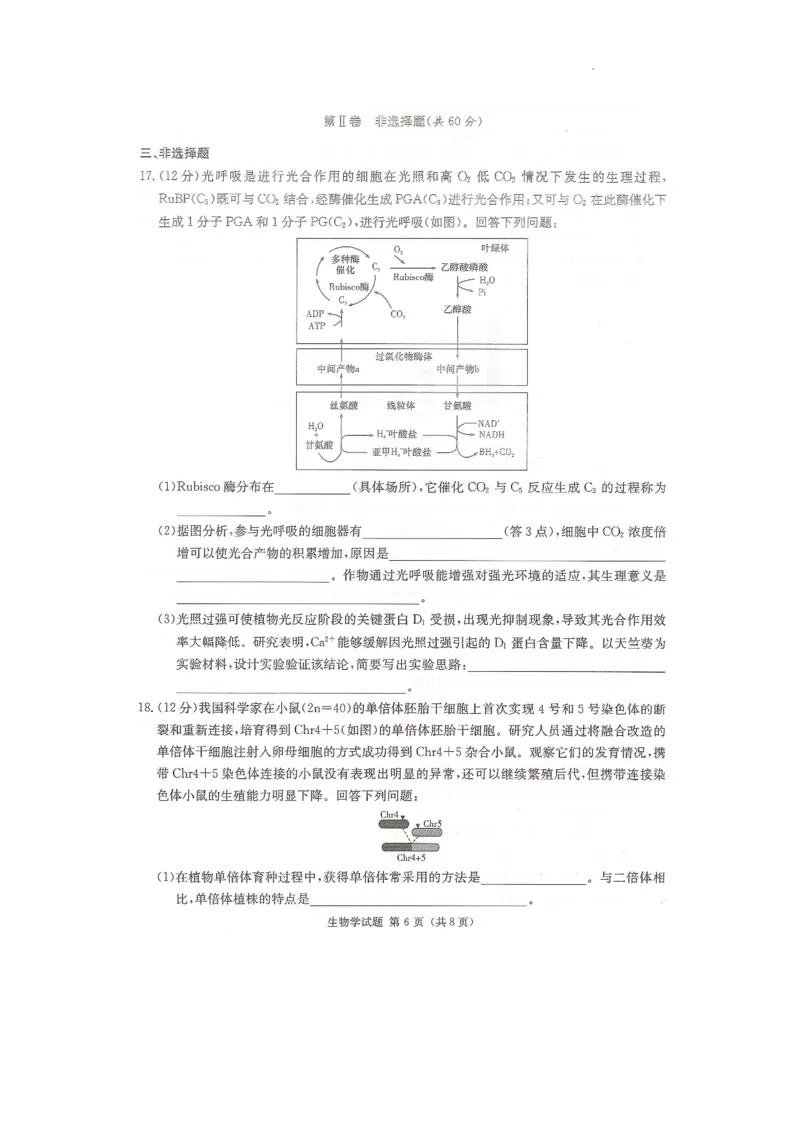2024届湖南省衡阳市名校联考联合体模拟预测生物试题_2024年4月_01按日期_24号_2024届湖南名校联考联合体高三考前仿真联考一