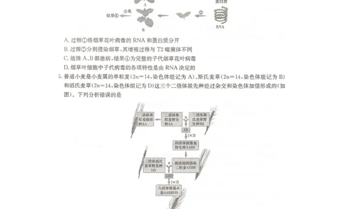 2024届湖南省衡阳市名校联考联合体模拟预测生物试题_2024年4月_01按日期_24号_2024届湖南名校联考联合体高三考前仿真联考一