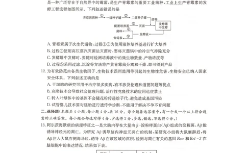 2024届湖南省衡阳市名校联考联合体模拟预测生物试题_2024年4月_01按日期_24号_2024届湖南名校联考联合体高三考前仿真联考一