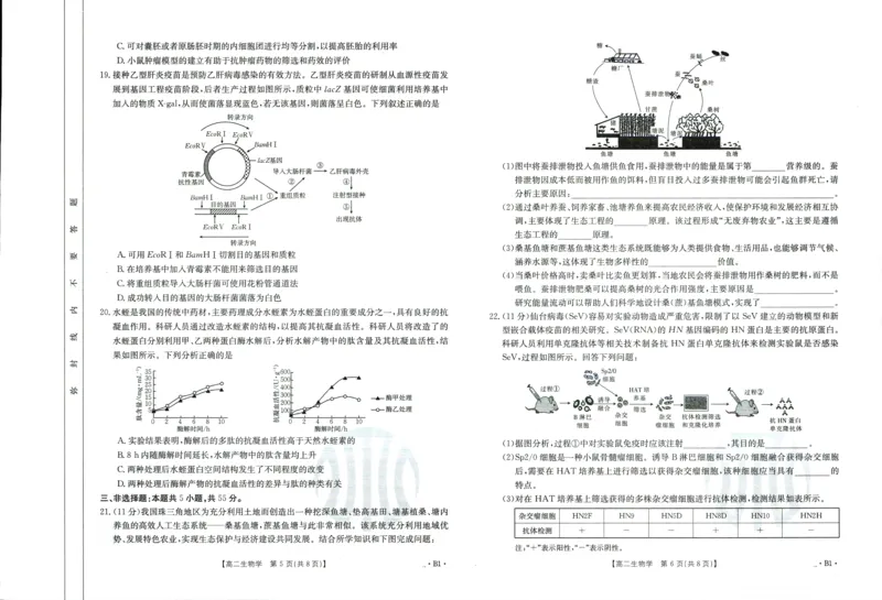 生物_6月_240613吉林省金太阳校2023-2024学年高二下学期6月联合考试_高二试卷