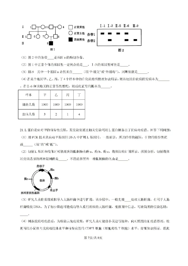 原卷-贵州省黔东南苗族侗族自治州2024-2025学年高三上学期开学考试生物试题_8月_240818贵州金太阳2025届高三8月开学考试（25-15C）