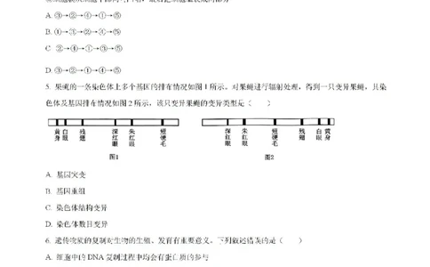 原卷-贵州省黔东南苗族侗族自治州2024-2025学年高三上学期开学考试生物试题_8月_240818贵州金太阳2025届高三8月开学考试（25-15C）