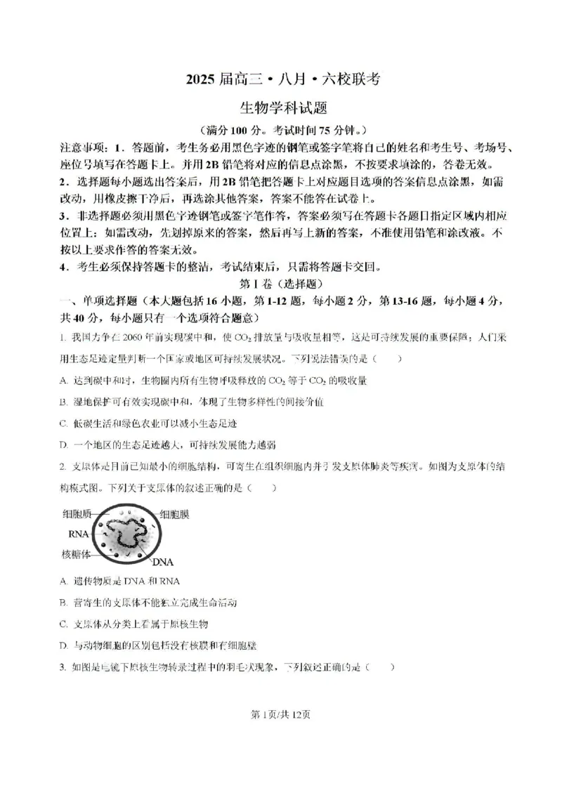 广东省六校2024&mdash;2025学年高三上学期8月联考生物试题_8月_2408122025届广东省六校高三八月第一次联考_广东省六校2024&mdash;2025学年高三上学期8月联考生物试题