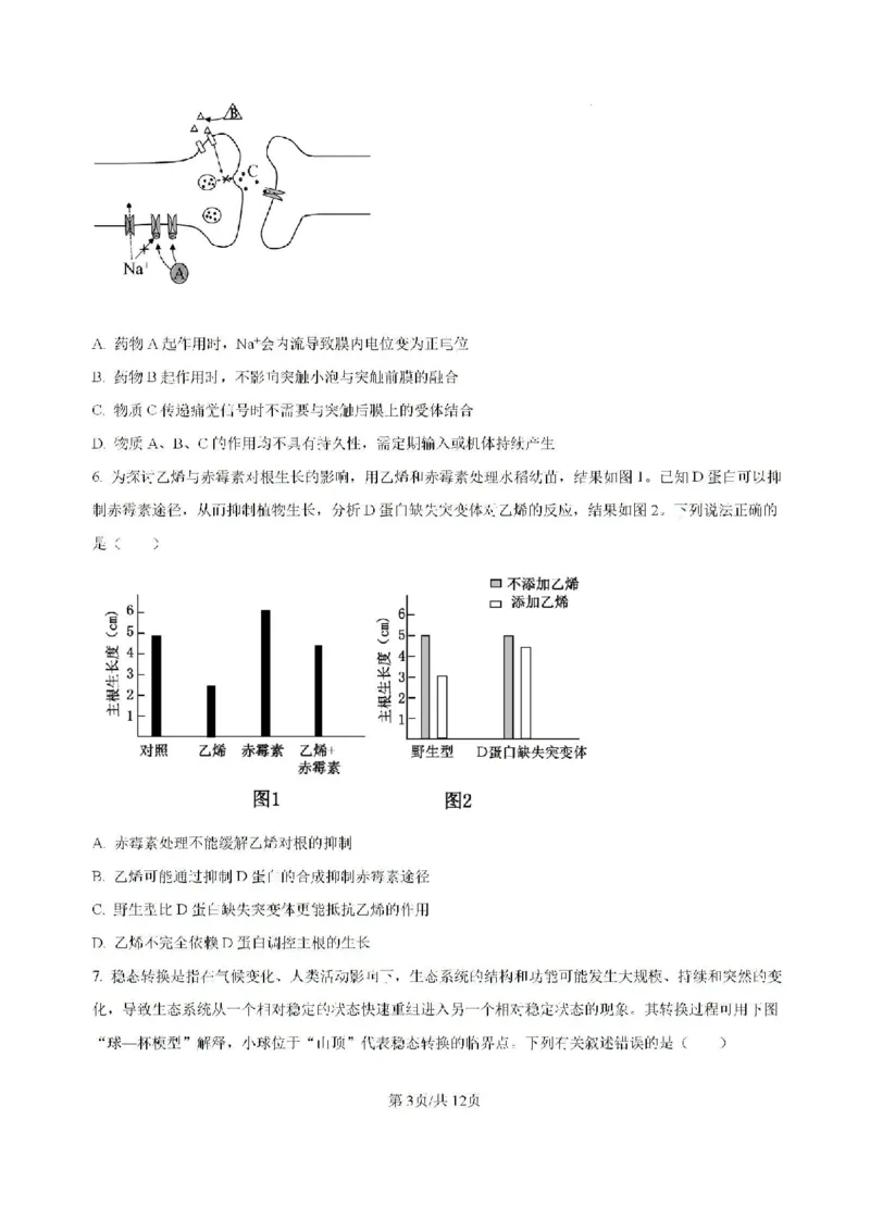 广东省六校2024&mdash;2025学年高三上学期8月联考生物试题_8月_2408122025届广东省六校高三八月第一次联考_广东省六校2024&mdash;2025学年高三上学期8月联考生物试题