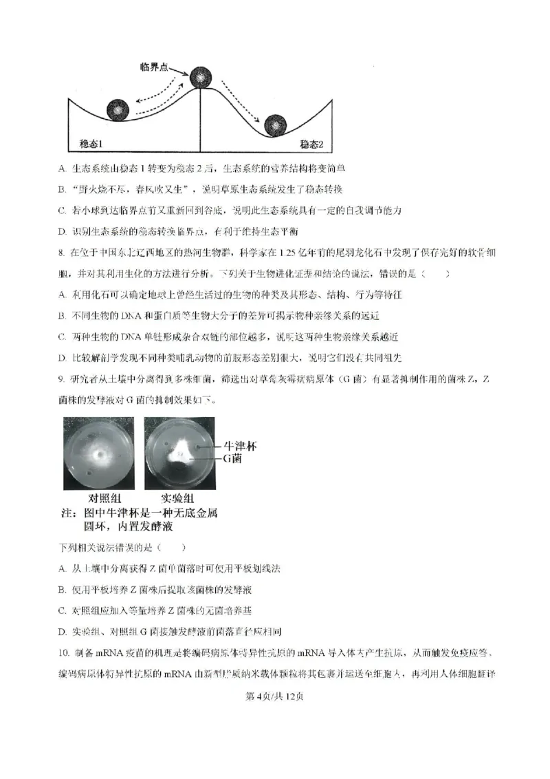 广东省六校2024&mdash;2025学年高三上学期8月联考生物试题_8月_2408122025届广东省六校高三八月第一次联考_广东省六校2024&mdash;2025学年高三上学期8月联考生物试题