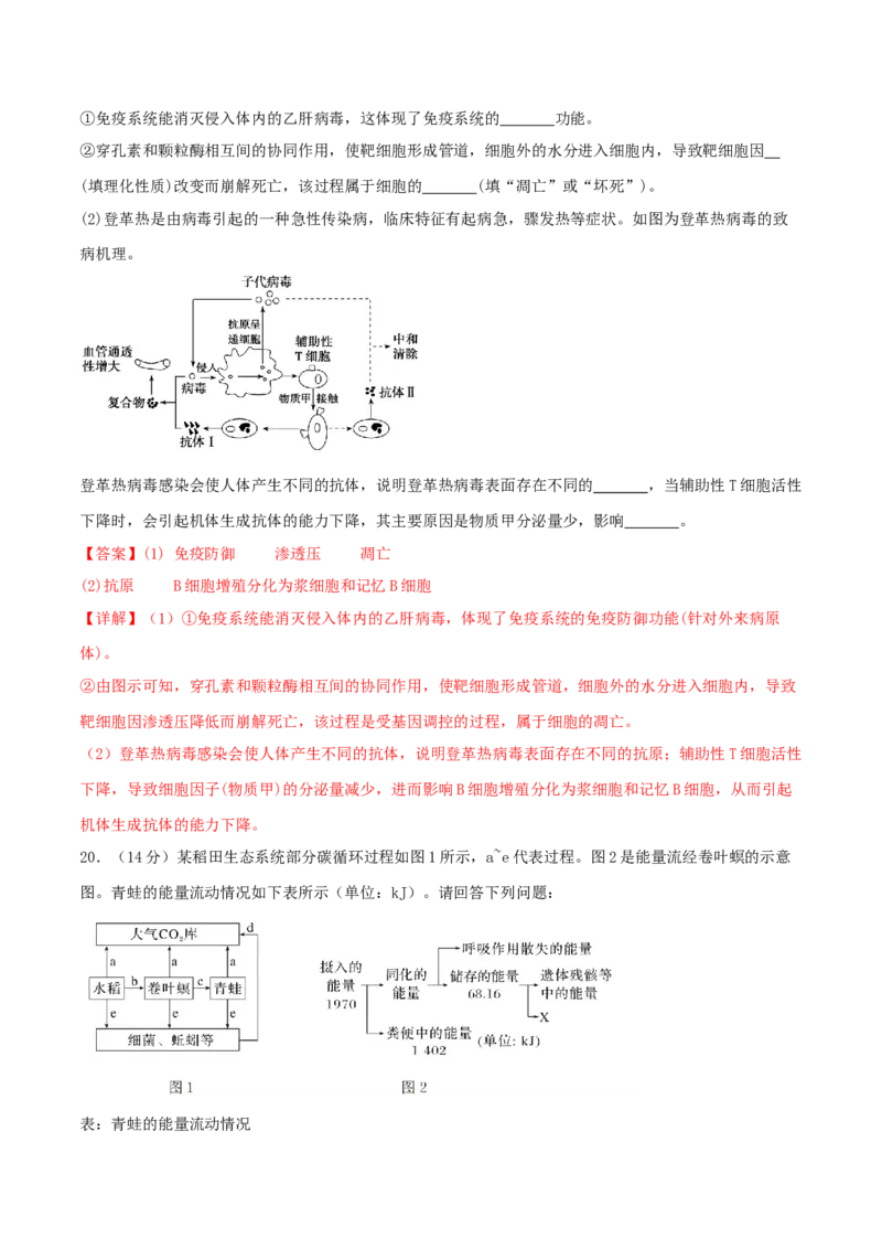 黄金卷01（解析版）-赢在高考&middot;黄金8卷备战2024年高考生物模拟卷（广西专用）_2024高考押题卷_92024赢在高考全系列_（通用版）2024《赢在高考&middot;黄金预测卷》（九科全）各八套
