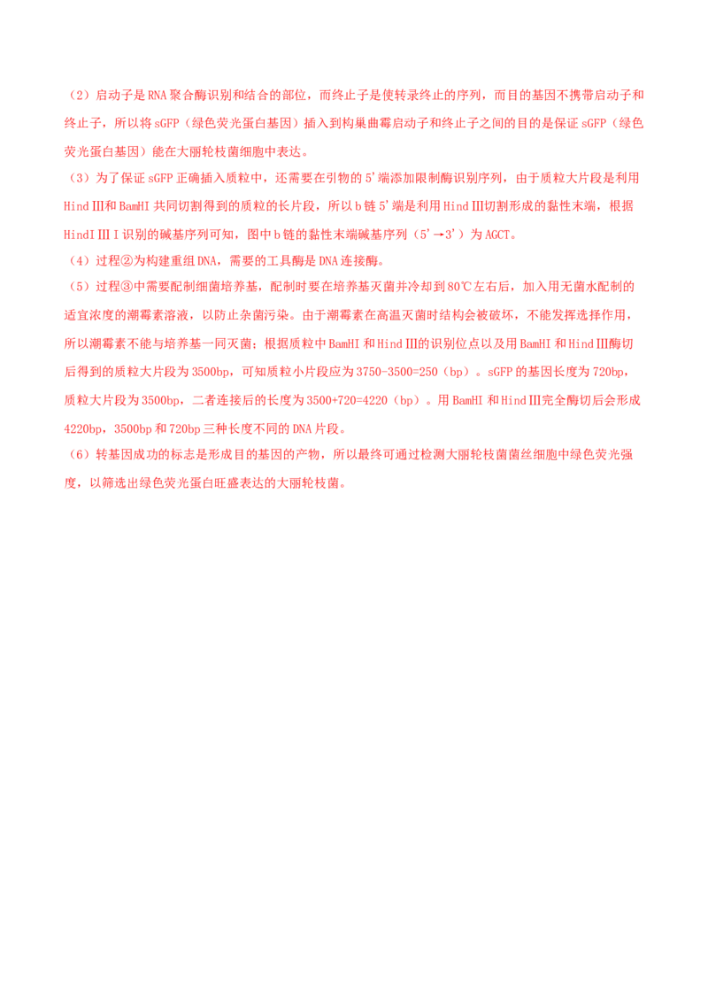 黄金卷01（解析版）-赢在高考&middot;黄金8卷备战2024年高考生物模拟卷（广西专用）_2024高考押题卷_92024赢在高考全系列_（通用版）2024《赢在高考&middot;黄金预测卷》（九科全）各八套