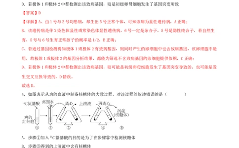 黄金卷01（解析版）-赢在高考&middot;黄金8卷备战2024年高考生物模拟卷（广西专用）_2024高考押题卷_92024赢在高考全系列_（通用版）2024《赢在高考&middot;黄金预测卷》（九科全）各八套
