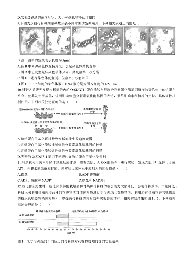 2024届福建省泉州市高三下学期5月适应性练习生物试题+答案(1)_2024年5月_025月合集_2024届福建省泉州市高中毕业班质量检测（五）
