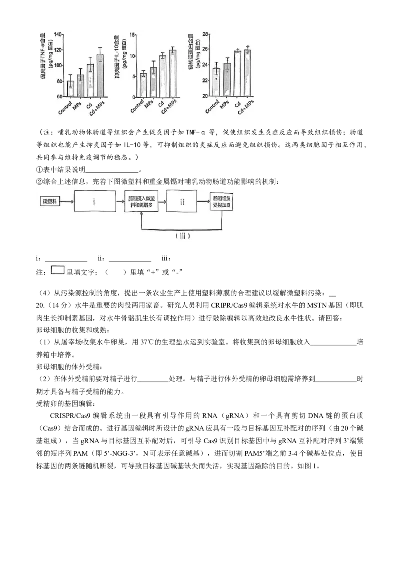 2024届福建省泉州市高三下学期5月适应性练习生物试题+答案(1)_2024年5月_025月合集_2024届福建省泉州市高中毕业班质量检测（五）