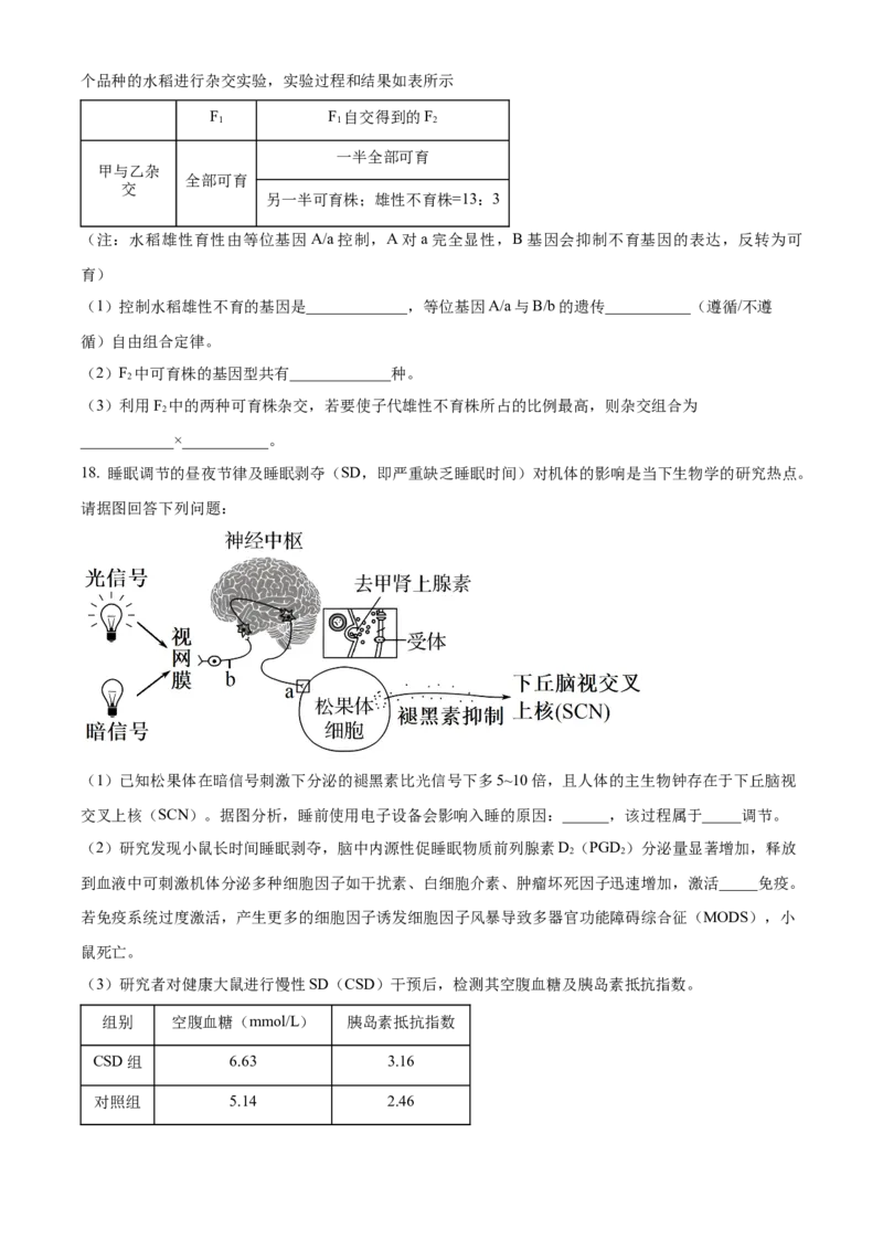 贵州省贵阳市第一中学2023-2024学年高二下学期第四次月考生物试卷（含答案）_6月_2406302024贵州省贵阳市第一中学高二下学期第四次月考