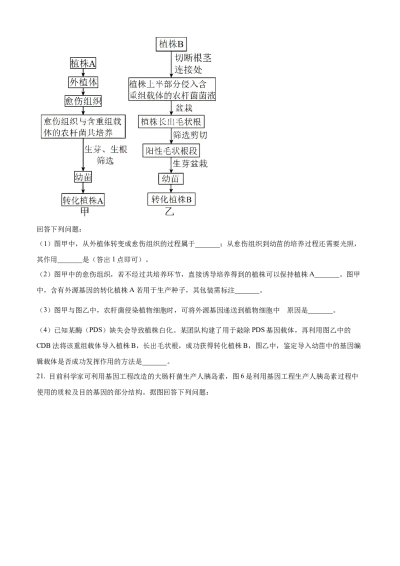 贵州省贵阳市第一中学2023-2024学年高二下学期第四次月考生物试卷（含答案）_6月_2406302024贵州省贵阳市第一中学高二下学期第四次月考