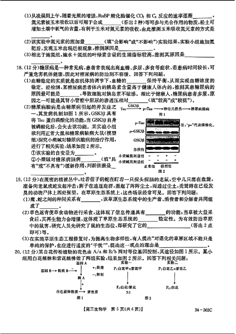 2024江西金太阳（24-362C）高三3月大联考-生物含_2024年3月_02按日期_17号_2024届江西金太阳（24-362C）高三3月大联考