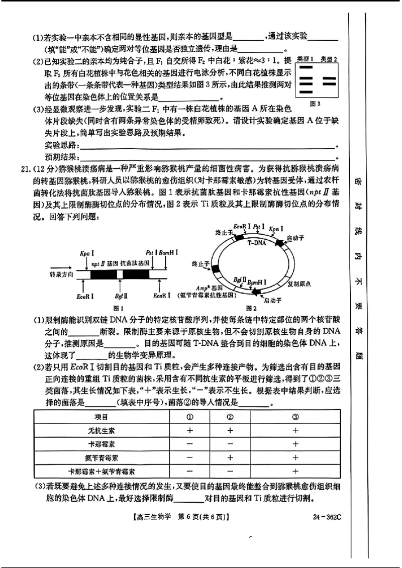 2024江西金太阳（24-362C）高三3月大联考-生物含_2024年3月_02按日期_17号_2024届江西金太阳（24-362C）高三3月大联考