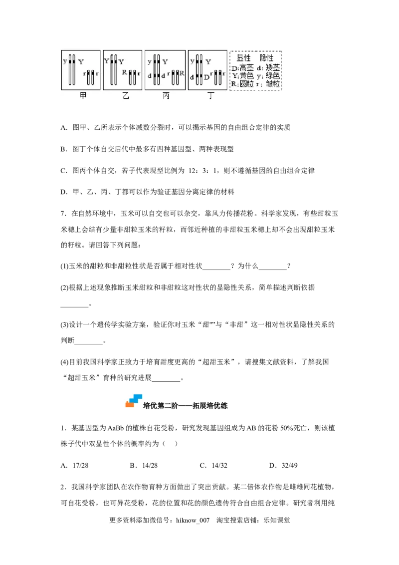 1.2孟德尔的豌豆杂交实验（二）（原卷版）_E015高中全科试卷_生物试题_必修2_2.同步练习_2、课后培优练2023