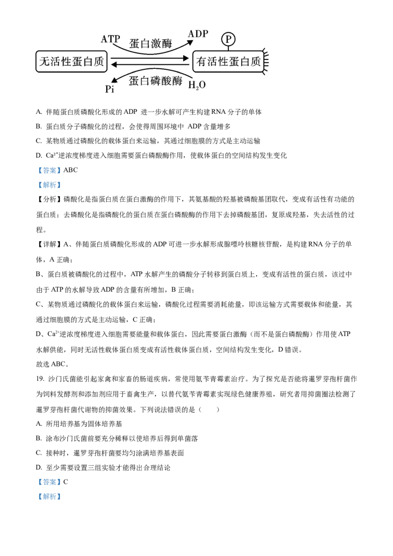 辽宁省本溪市县级重点高中协作体2023-2024学年高二下学期7月期末考试生物Word版含解析(1)_8月_240807辽宁省本溪市县级重点高中协作体2023-2024学年高二下学期7月期末考试