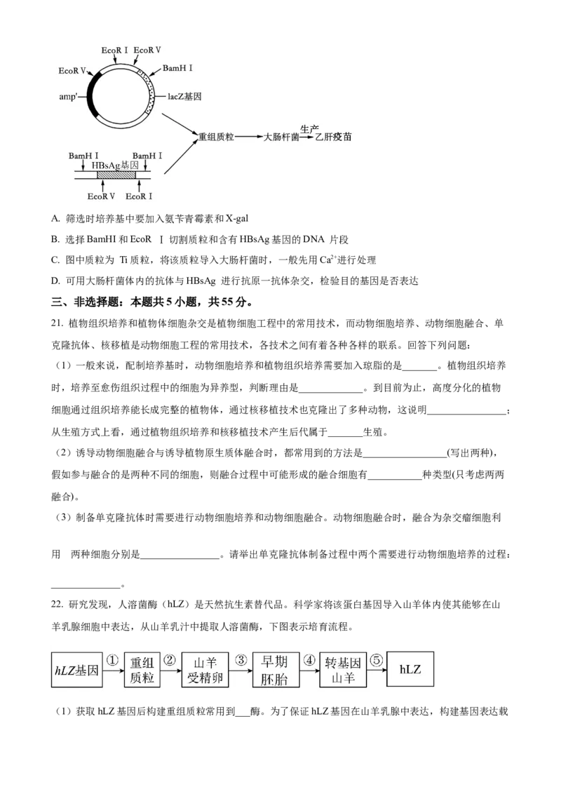 辽宁省本溪市县级重点高中协作体2023-2024学年高二下学期7月期末考试生物Word版含解析(1)_8月_240807辽宁省本溪市县级重点高中协作体2023-2024学年高二下学期7月期末考试