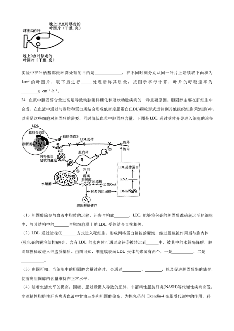 辽宁省本溪市县级重点高中协作体2023-2024学年高二下学期7月期末考试生物Word版含解析(1)_8月_240807辽宁省本溪市县级重点高中协作体2023-2024学年高二下学期7月期末考试