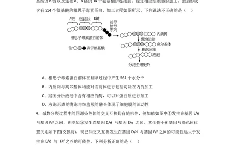 黄金卷04（原卷版）-赢在高考&middot;黄金8卷备战2024年高考生物模拟卷（黑龙江专用）_2024高考押题卷_92024赢在高考全系列_赢在高考&middot;黄金8卷备战2024年高考生物模拟卷