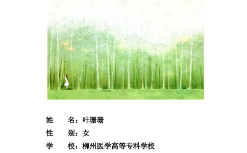 护理10-13班叶珊珊全国大学生职业生涯规划书_E6-职业规划_29护理专业