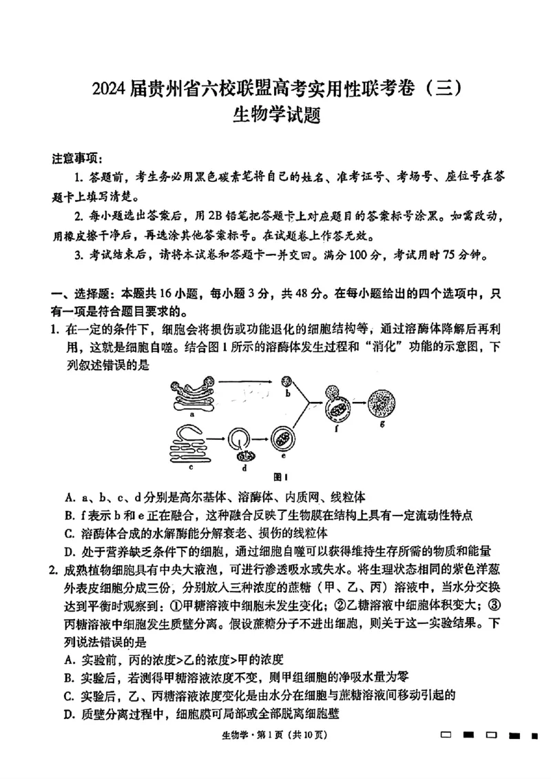 2024届贵州六校联盟高三下学期高考实用性联考（三）生物含答案(1)_2024年3月_013月合集_2024届贵州省六校联盟高考实用性联考（三）